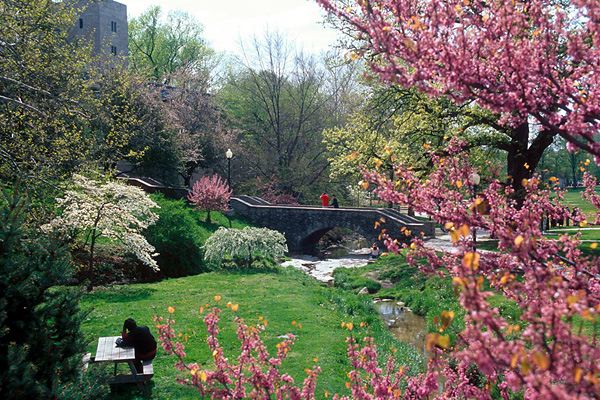 Indiana University's Kelley School of Business was ranked No. 18 in the 2006 BusinessWeek rankings. Its Bloomington campus is also consistently ranked one of the most beautiful in America. It's also been named one of the top 10 places for campus culture by USA Today and the No. 6 college sports town by Sports Illustrated on Campus. With a tuition of about $35,000 for out-of staters, Kelley is the least expensive program in BusinessWeek's Top 20. If Indiana is one of the schools you are considering, take a look at its virtual tour. Photos provided by Indiana University. Caption information from information provided by the school, data from "Fast Track: The Best B-Schools" (McGraw-Hill 2008) and BusinessWeek research.